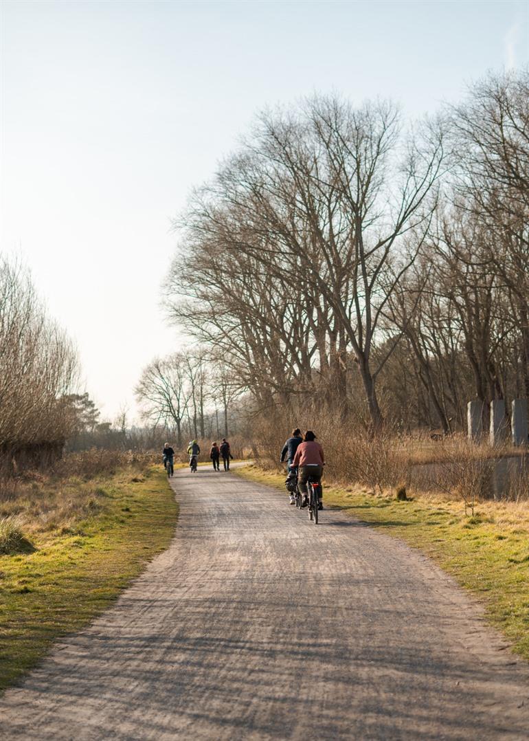 Verharde wegen in het Zwin