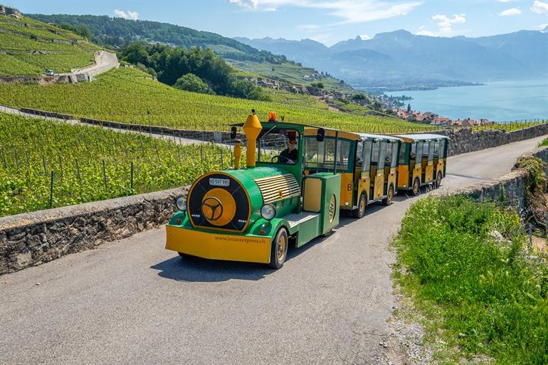 Verken de Lavaux wijnterrassen vanuit Montreux