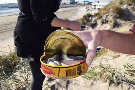 Vers geopende Surströmming uit Zweden