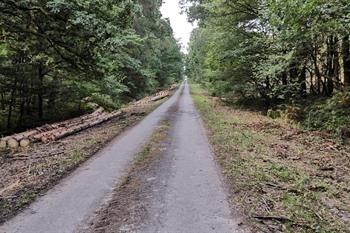 Via Thiérache - Dag 3 - Woud van de abdij