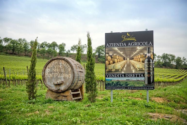Vino Nobile di Montepulciano, Toscane