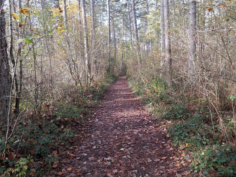 Viroinvallei wandelroute