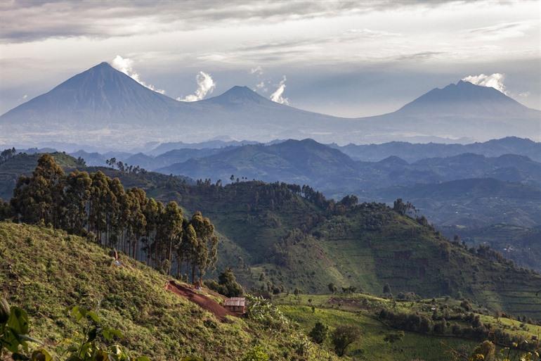 Virunga national park Congo