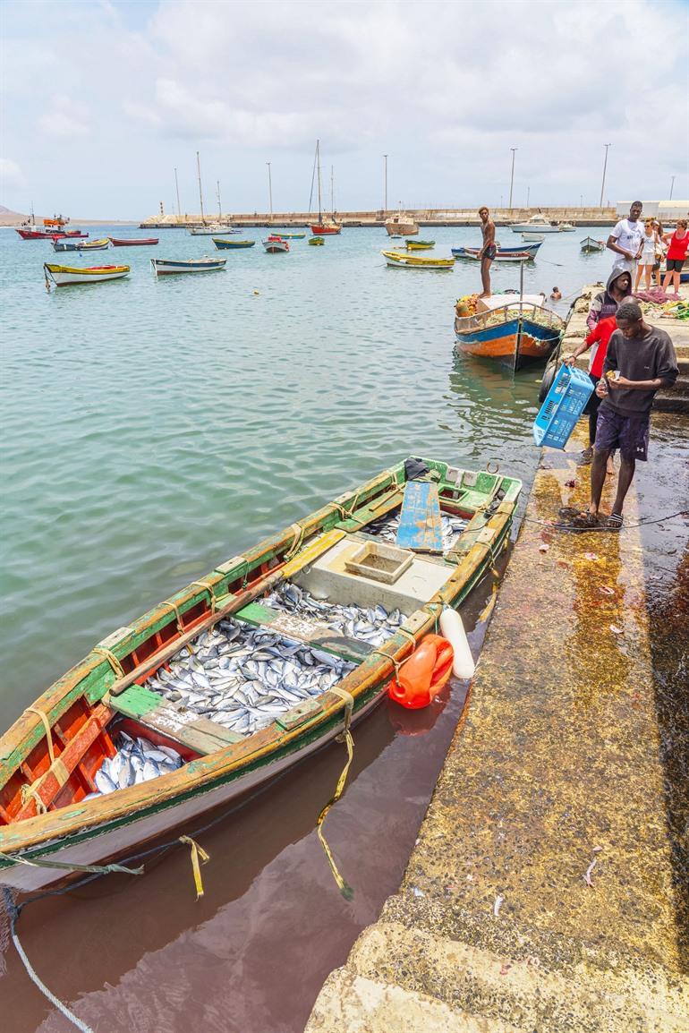 Vissersdorp Palmeira, eiland Sal