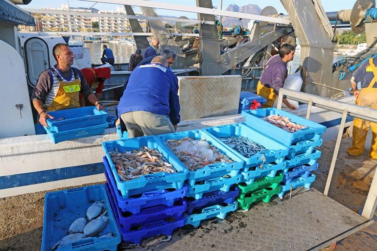 Vissershaven met vissersbootjes in Villajoyosa