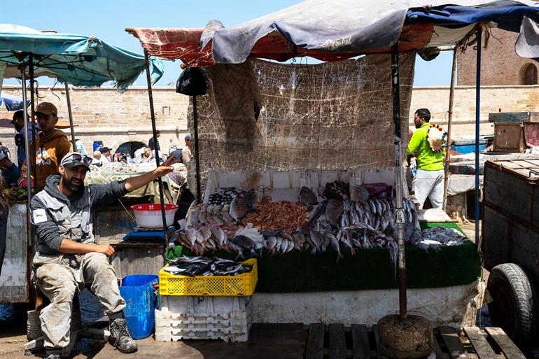 Vissershaven van Essaouira, Marokko