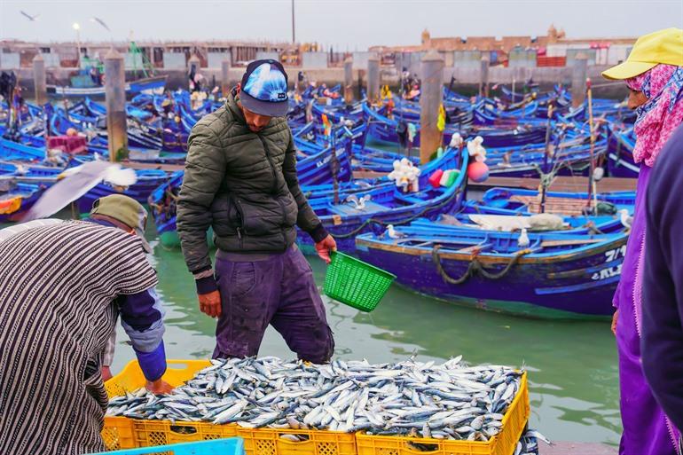 Vissershaven van Essaouira, Marokko