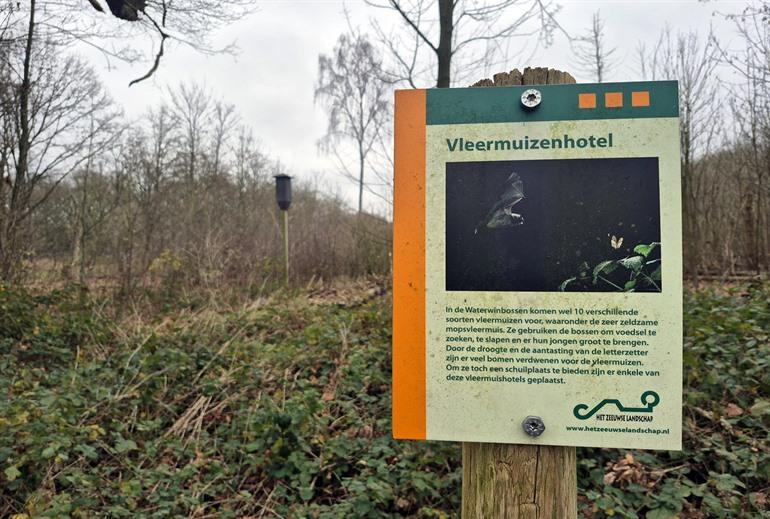 Vleermuizenhotel in de Clingse Bossen op de Niemandsland wandelroute