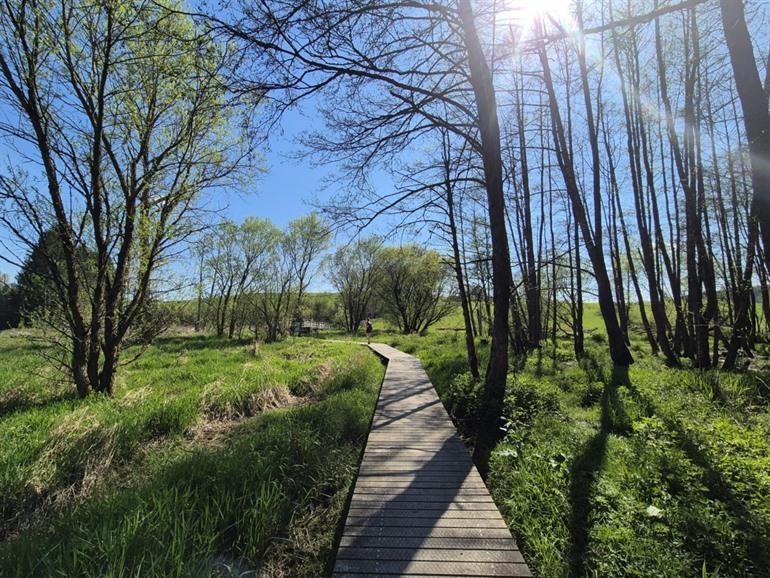 Vlonderpad in het natuurreservaat Orti