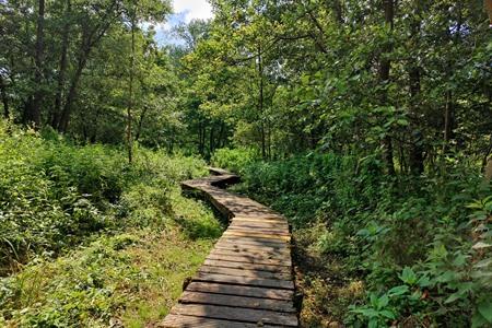 Wandeling door de Welle- en Kapellemeersen: een groene lus langs de Dender