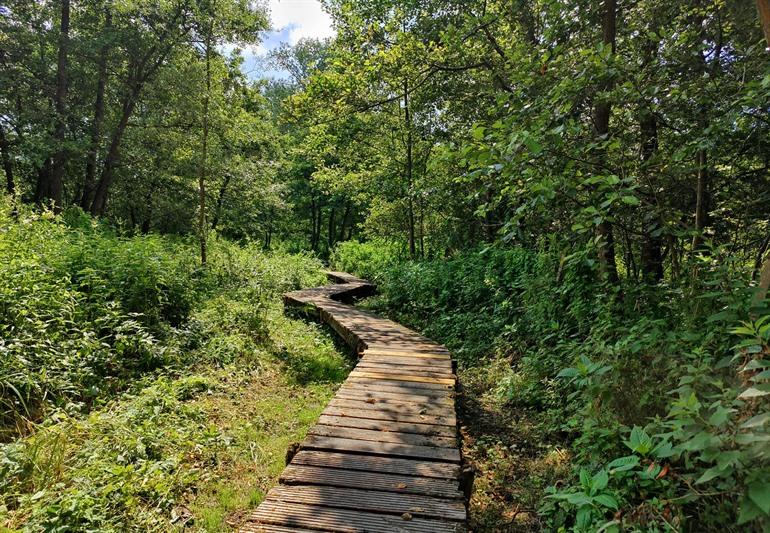 Vlonderpaden van de Wellemeersen
