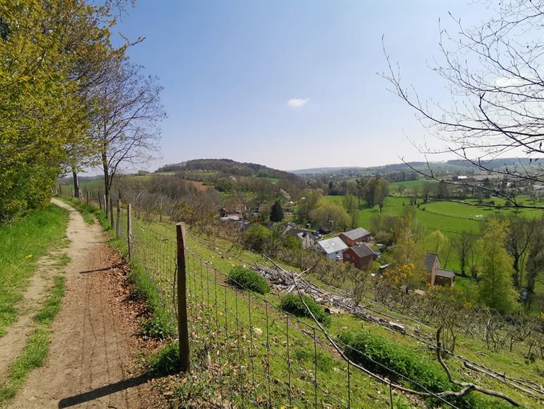 Voeren algemeen beeld