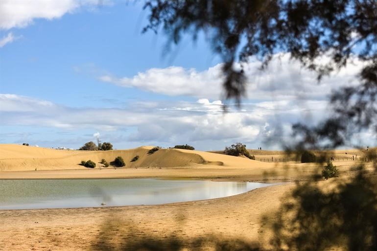 Vogels spotten bij La Charca de Maspalomas, Gran Canaria