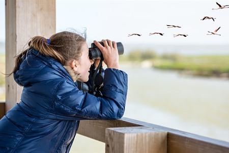 Vogels spotten vanop afstand met een verrekijker