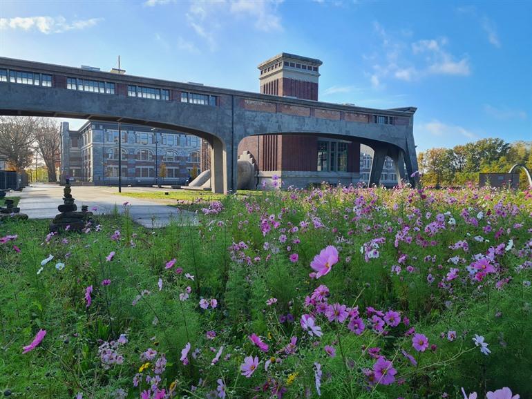 Voormalige kolenmijn van Waterschei in Genk