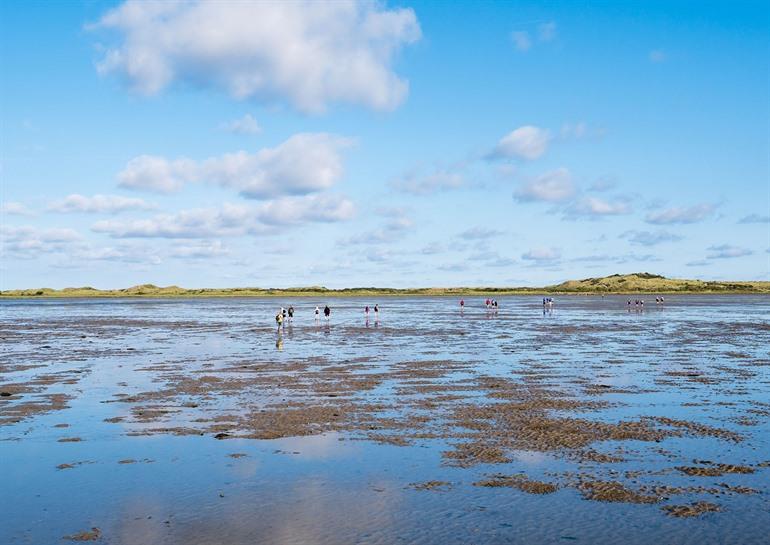 Wadlopen op Ameland, Nederland