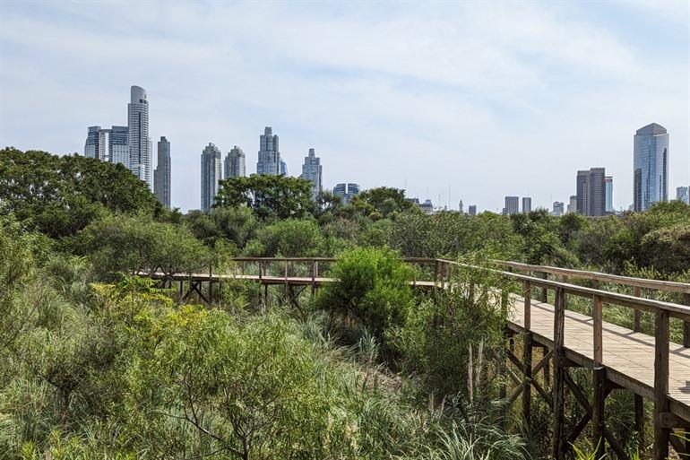 Wandel door de bomen in het Reserva Ecológica Costanera Sur