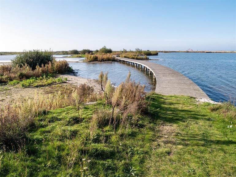 Wandel- en fietspaden op de Marker Wadden
