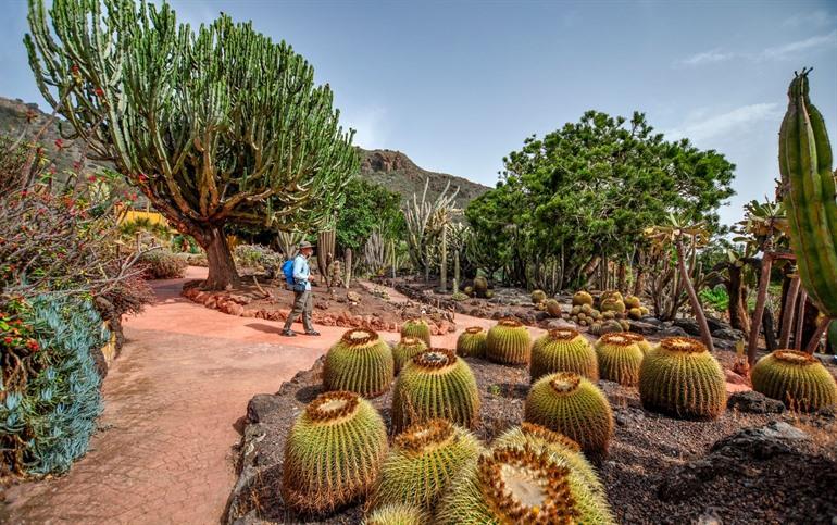 Wandel tussen de cactussen in Jardín Canario, Gran Canaria