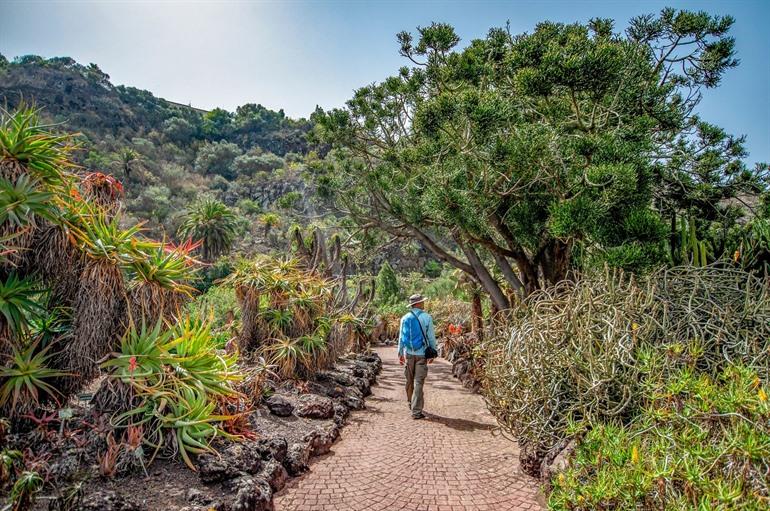 Wandel tussen de cactussen in Jardín Canario, Gran Canaria