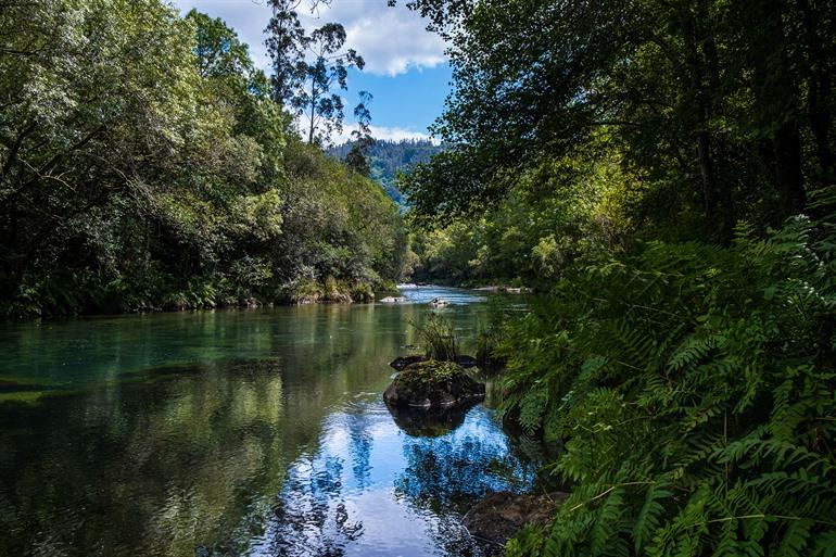 Wandelen door Fragas de Eume, Galicië