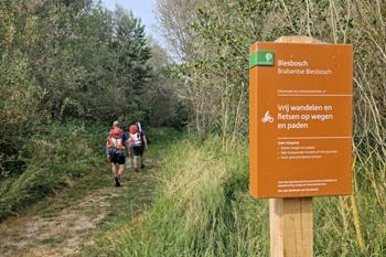 Wandelen in de Biesbosch nationaal park