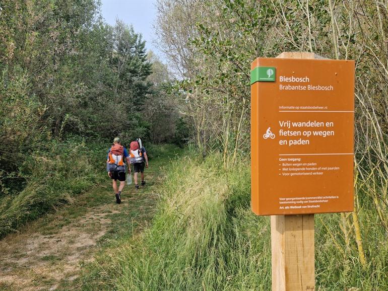 Wandelen in de Biesbosch nationaal park