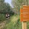 Wandelen in de Biesbosch nationaal park