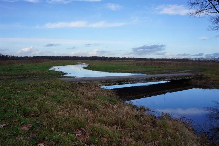 Wandelen in de Landschotse Heide, Middelbeers