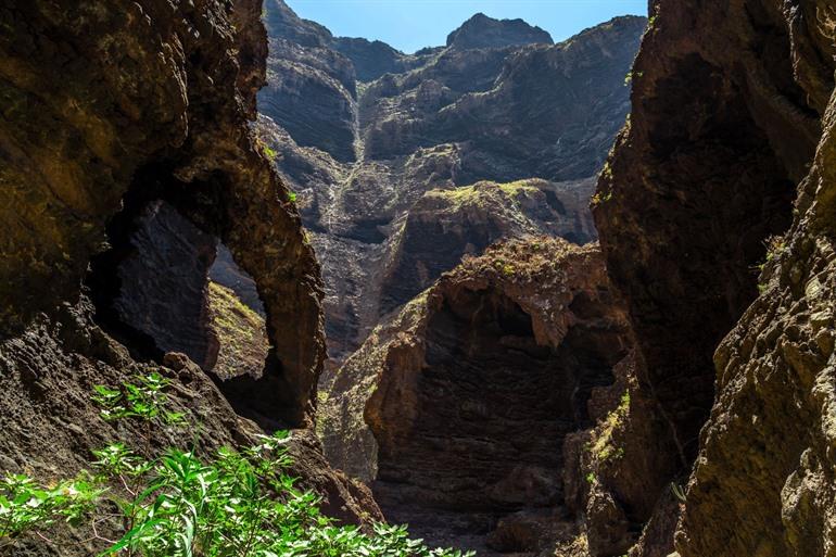 Wandelen in de Masca vallei - Barranco de Masca