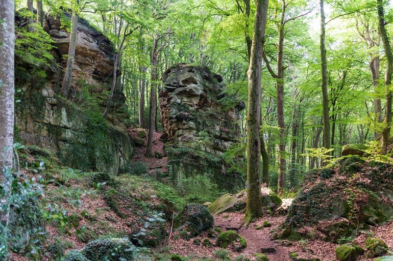 Wandelen in het Müllerthal (Klein Zwiterserland)