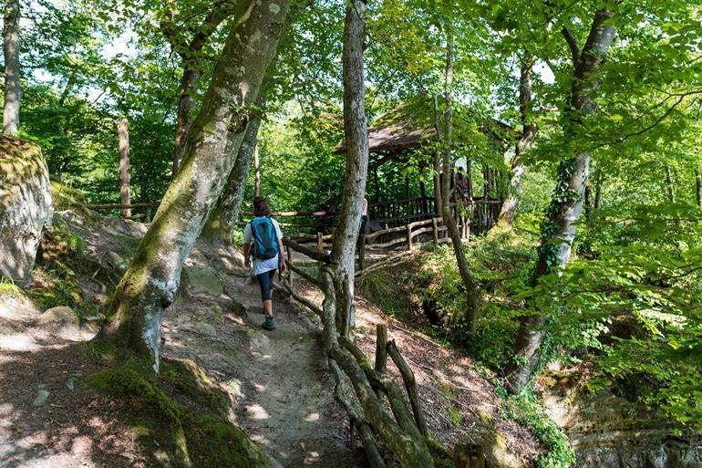 Wandelen in het Müllerthal (Klein Zwiterserland)