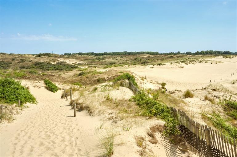 Wandelen in natuurreservaat De Westhoek