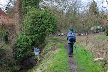 Wandelen langs de Moeliebeek in het Pajottenland