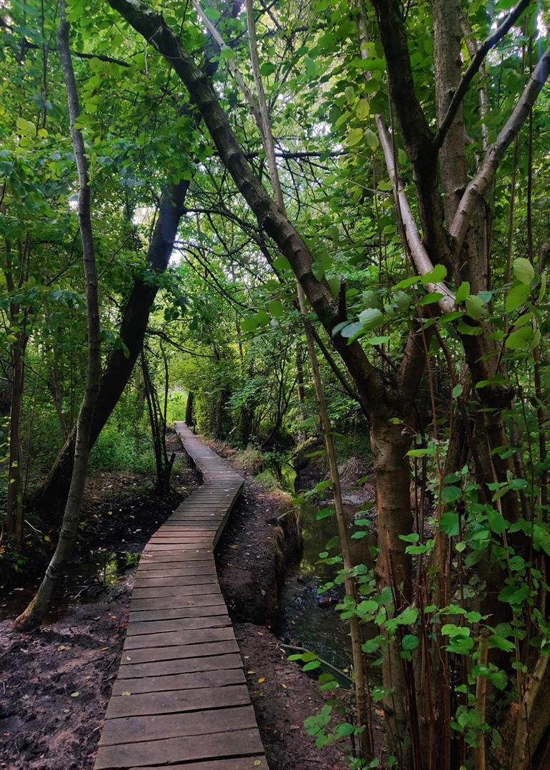 Wandelen langs de Molenbeek in Moortsele