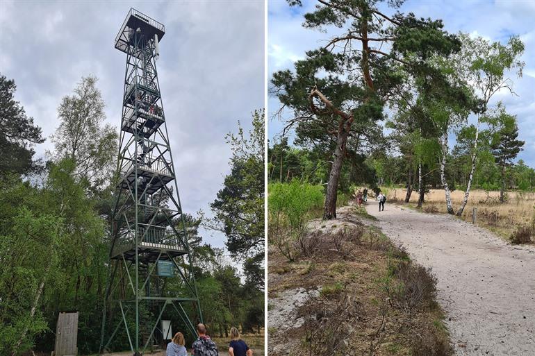 Wandelen op de Kalmthoutse Heide