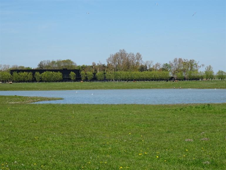 Wandelen over de Zwinvlakte, Knokke-Heist