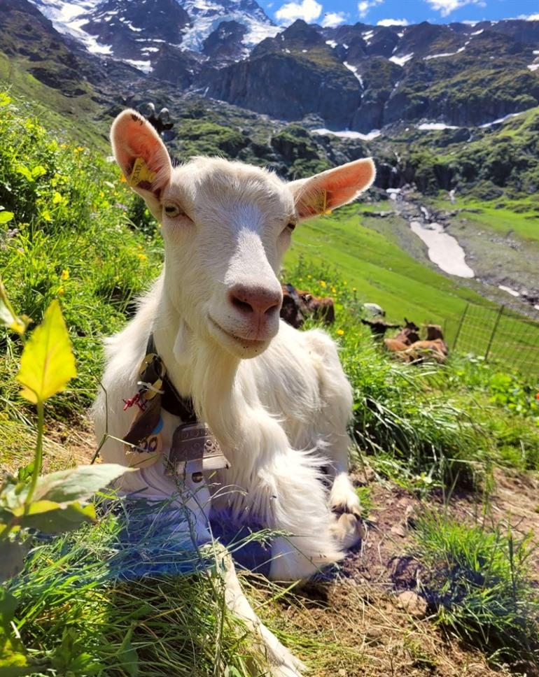 Wandelen van Lauterbrunnen naar Stechelberg