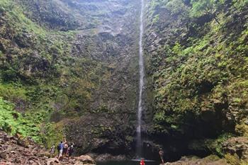 Wandeling Caldeirão Verde PR9 in Madeira