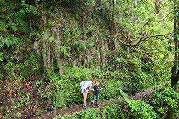 Wandeling Caldeirão Verde PR9