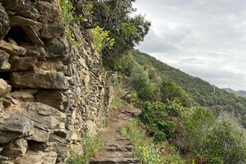 Wandeling Cinque Terre: Monterosso naar Vernazza (Sentiero azzurro)