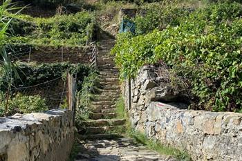 Wandeling Cinque Terre van Riomaggiore naar Manarola Via dell Amore