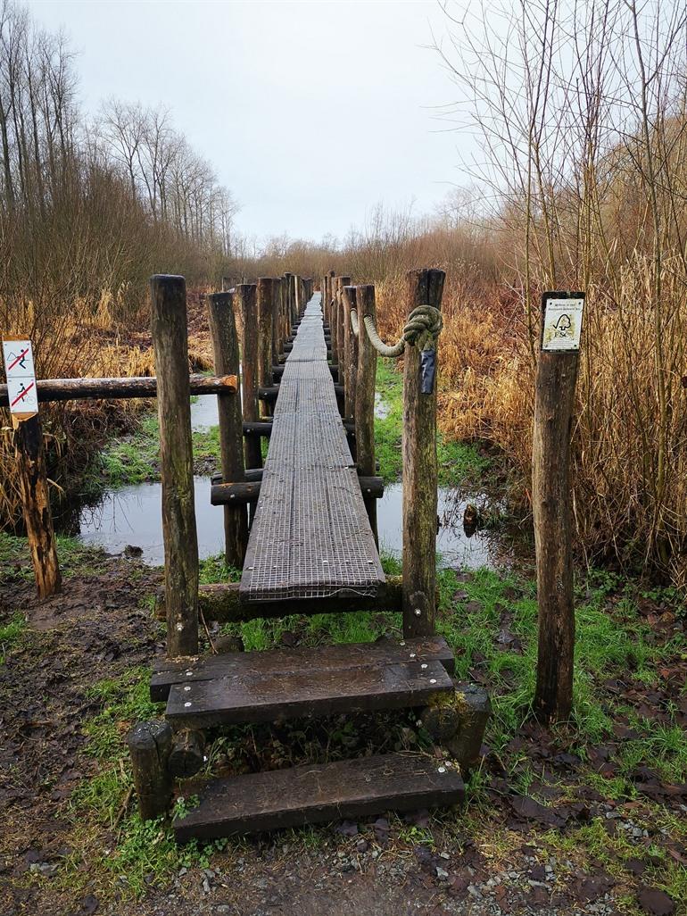 Wandeling door De Nuchten