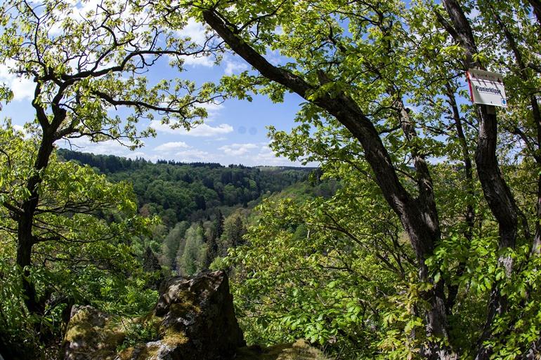 Wandeling door Selketal langs de Pionierklippe