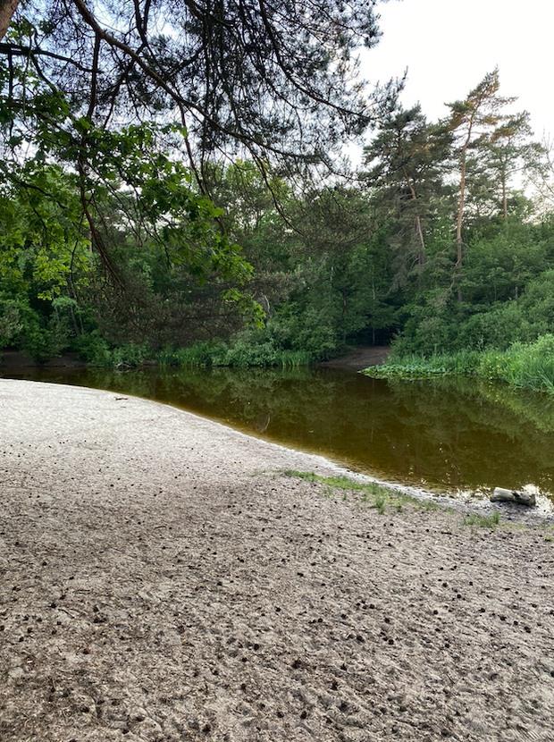 Wandelen op de Utrechtse Heuvelrug 9 x mooiste wandelroutes