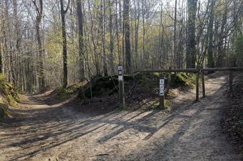 Wandeling in het Brakelbos