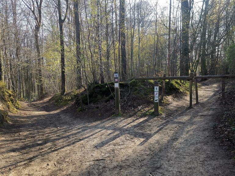 Wandeling in het Brakelbos