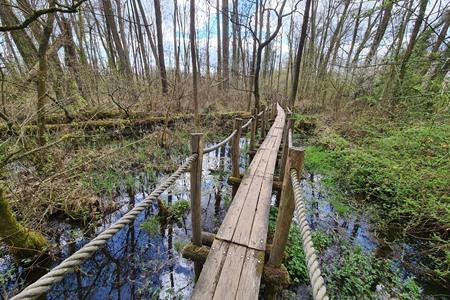 13 x wandelingen langs vlonderpaden en knuppelpaden in België + kaartje