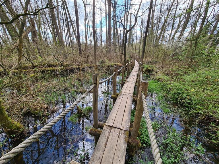 Wandeling in Vallei van de Serskampse beek over Vlonderpaden 