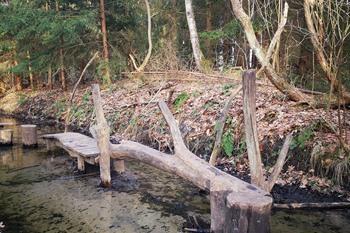 Wandeling langs het Pagadderpad in Dessel